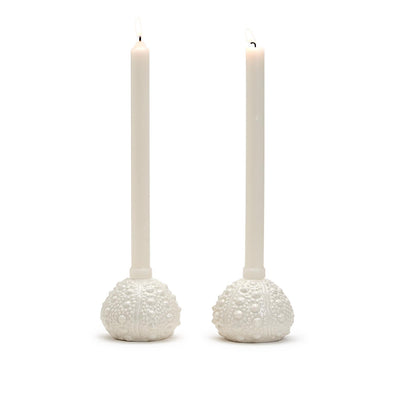 Two's Company Sea Urchin Candleholder